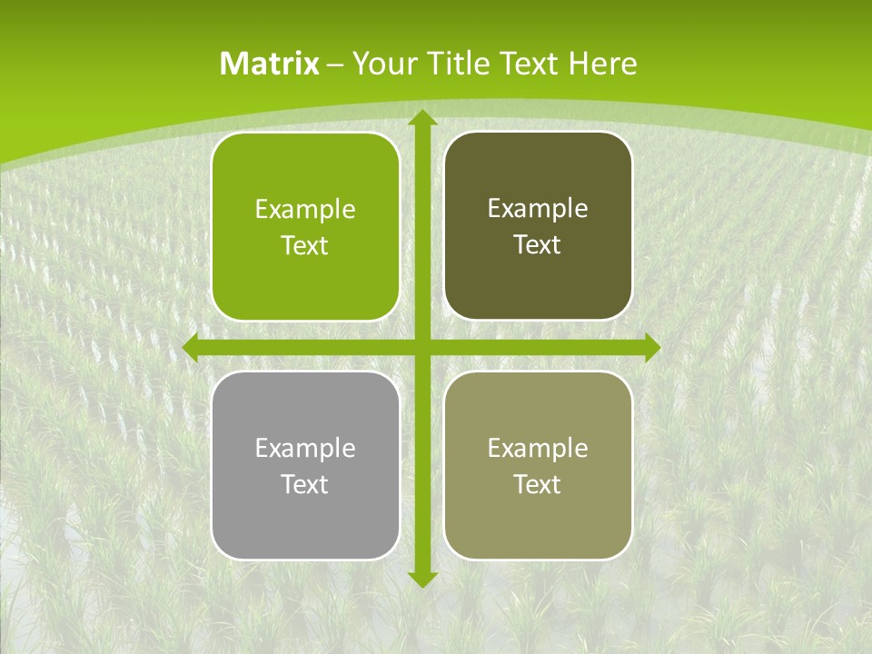 Rows Lush Earth PowerPoint Template