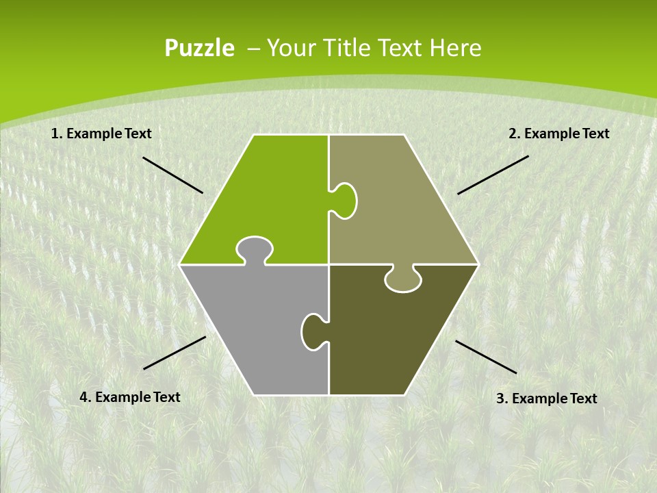 Rows Lush Earth PowerPoint Template