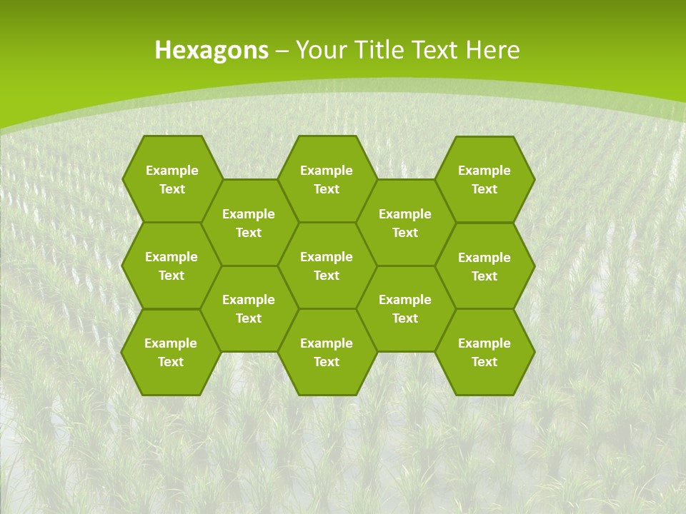 Rows Lush Earth PowerPoint Template