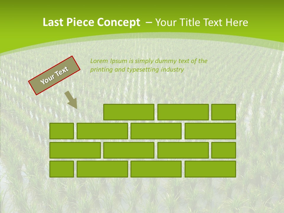 Rows Lush Earth PowerPoint Template