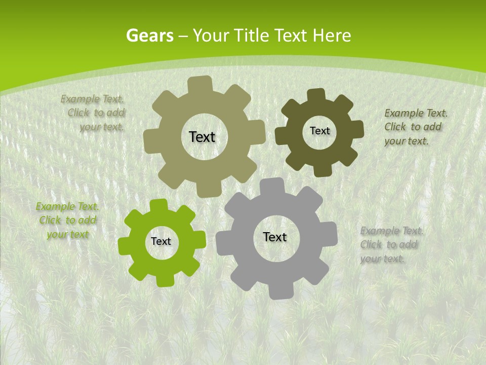 Rows Lush Earth PowerPoint Template