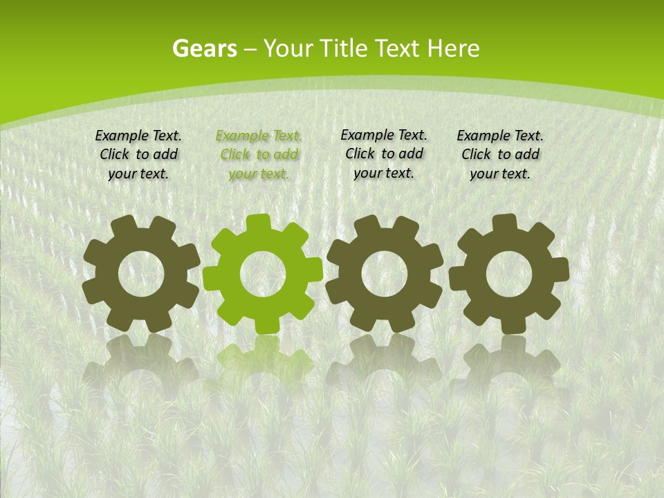 Rows Lush Earth PowerPoint Template