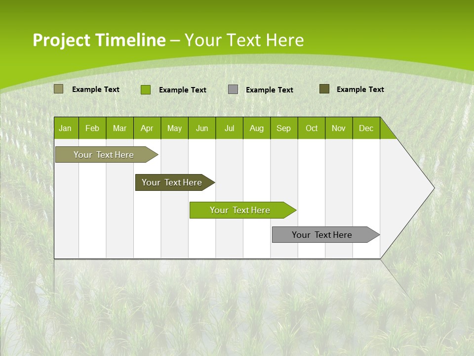 Rows Lush Earth PowerPoint Template