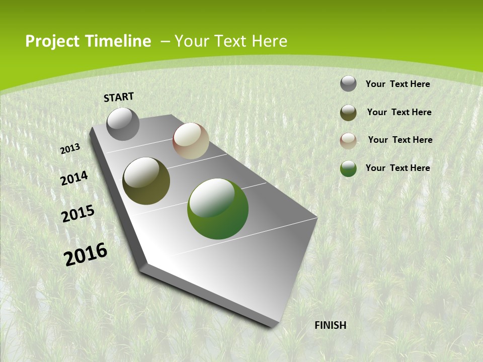 Rows Lush Earth PowerPoint Template