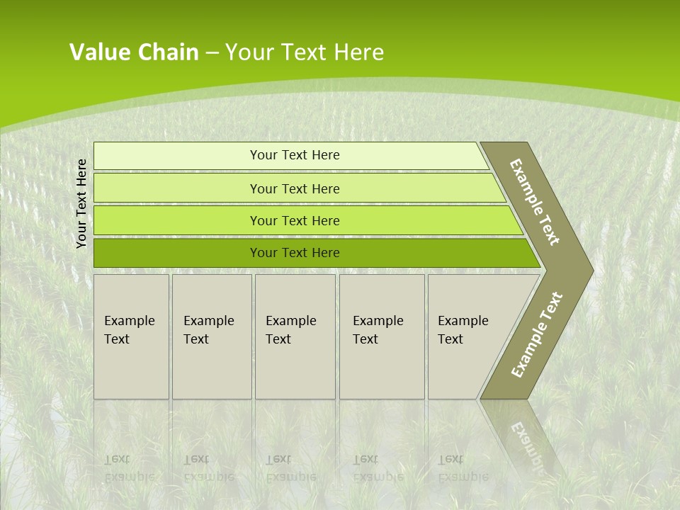 Rows Lush Earth PowerPoint Template