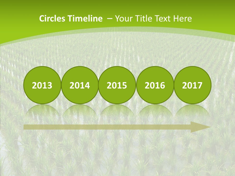 Rows Lush Earth PowerPoint Template