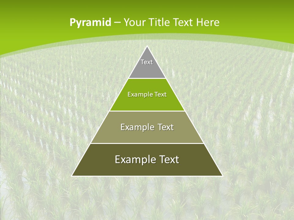 Rows Lush Earth PowerPoint Template