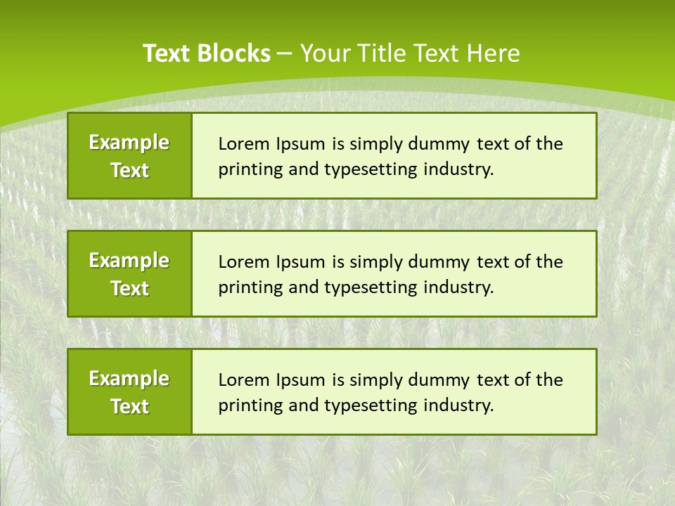 Rows Lush Earth PowerPoint Template