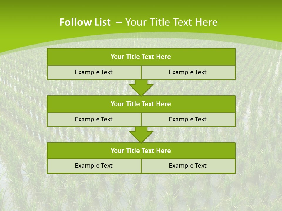 Rows Lush Earth PowerPoint Template