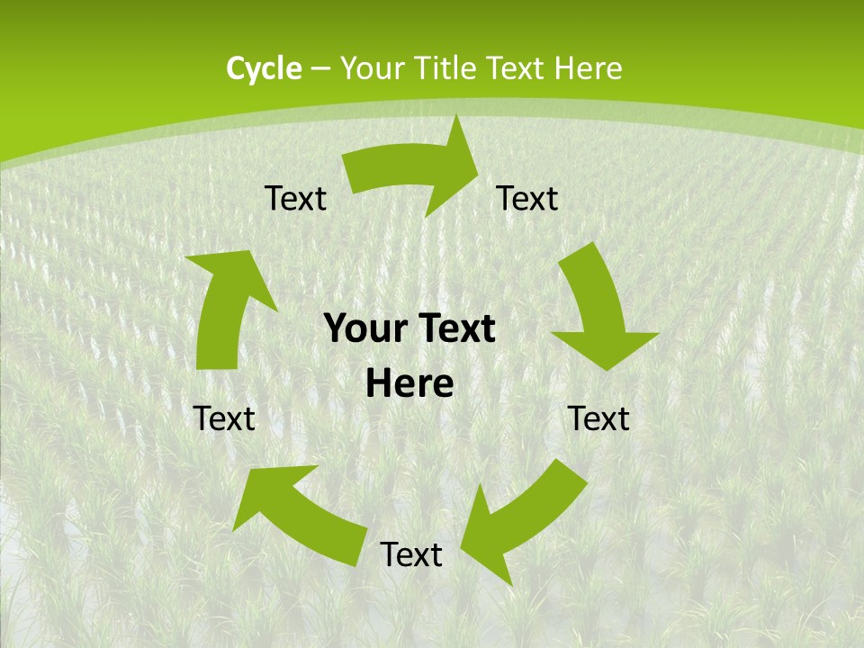 Rows Lush Earth PowerPoint Template