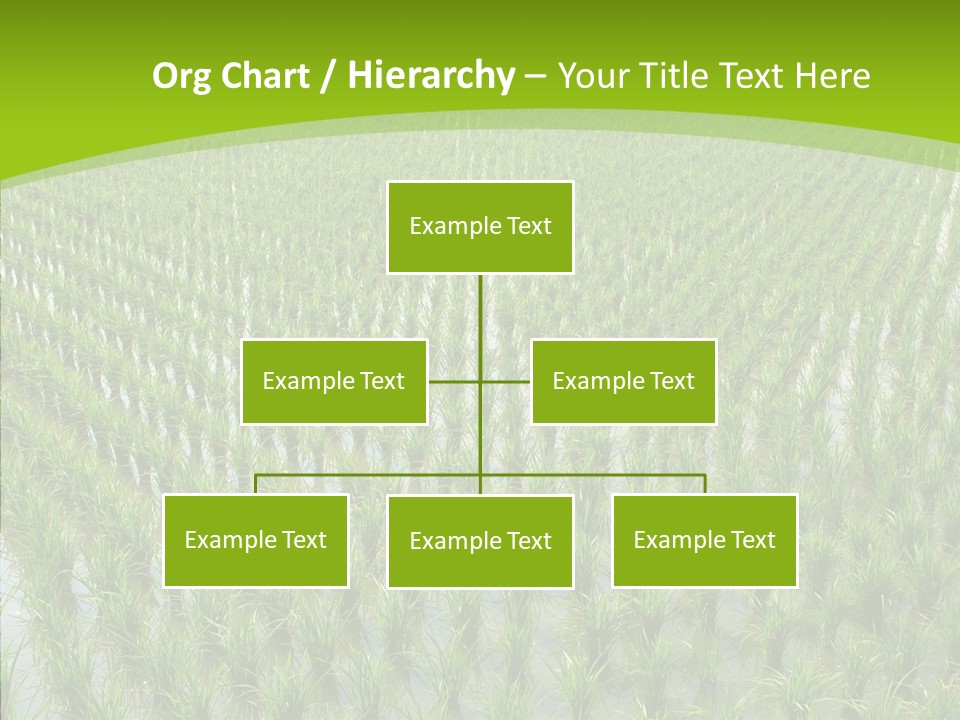 Rows Lush Earth PowerPoint Template