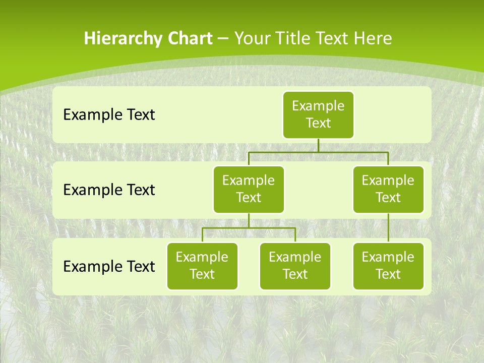 Rows Lush Earth PowerPoint Template