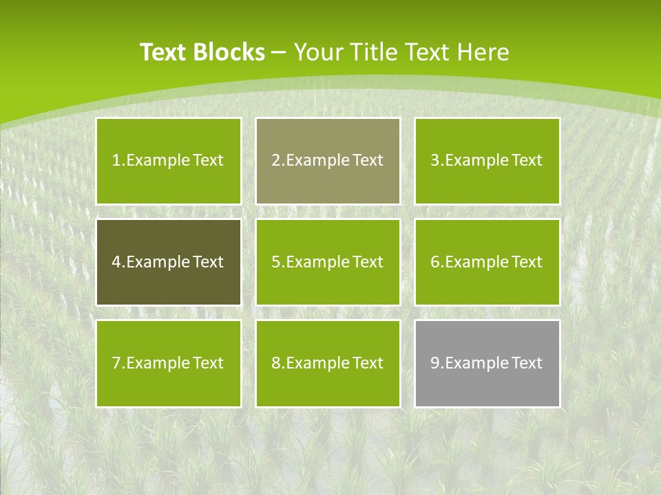 Rows Lush Earth PowerPoint Template