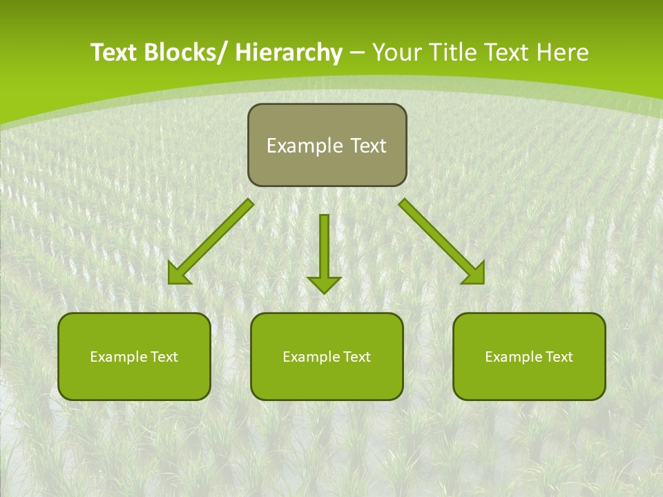 Rows Lush Earth PowerPoint Template