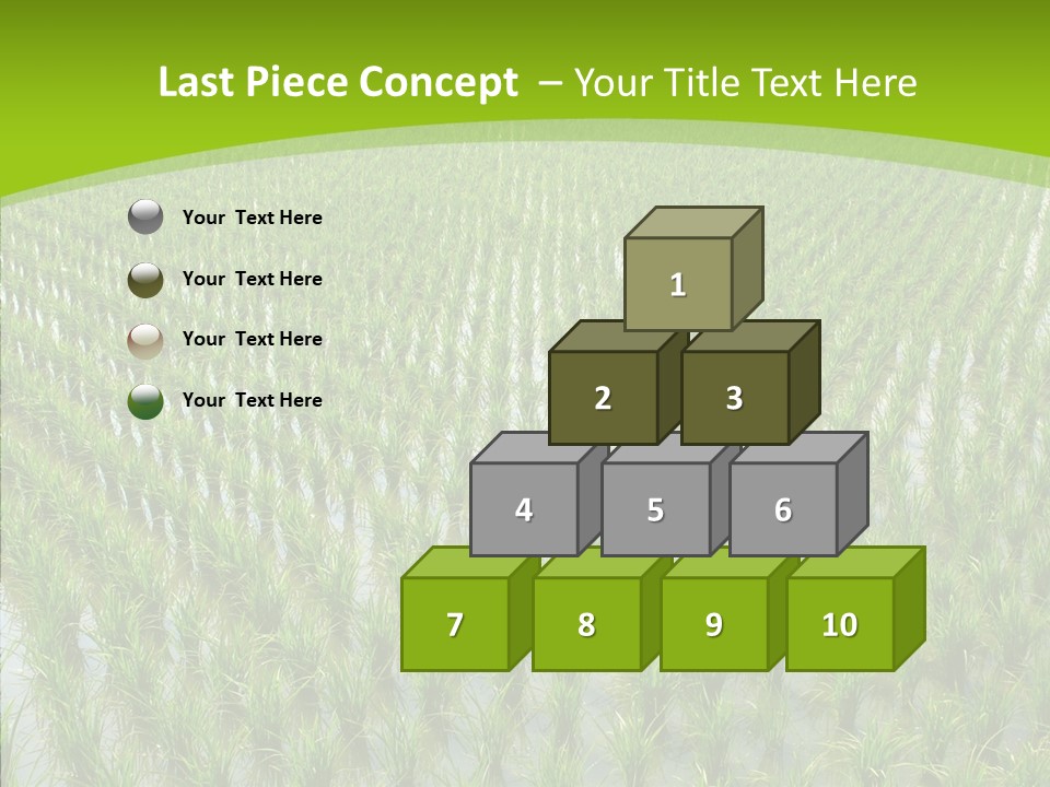 Rows Lush Earth PowerPoint Template