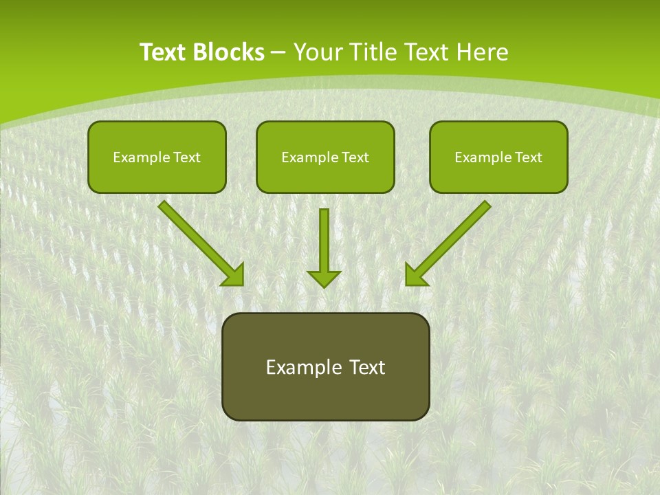 Rows Lush Earth PowerPoint Template