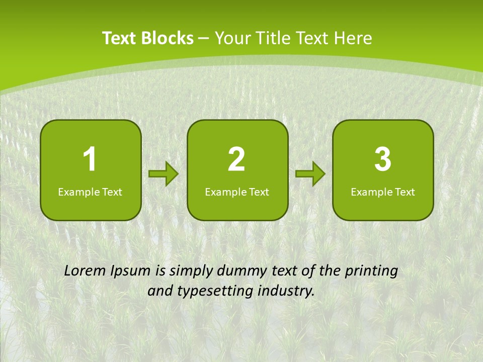 Rows Lush Earth PowerPoint Template