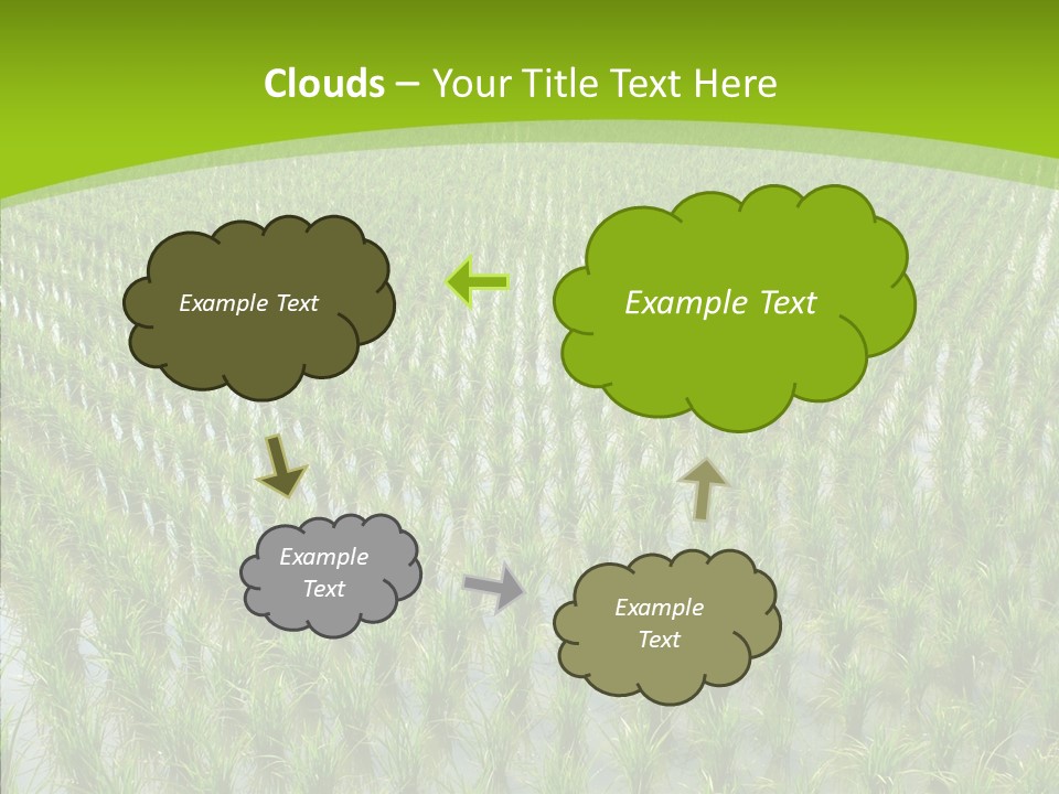 Rows Lush Earth PowerPoint Template