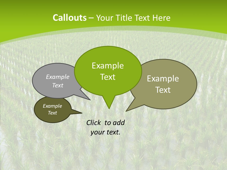 Rows Lush Earth PowerPoint Template