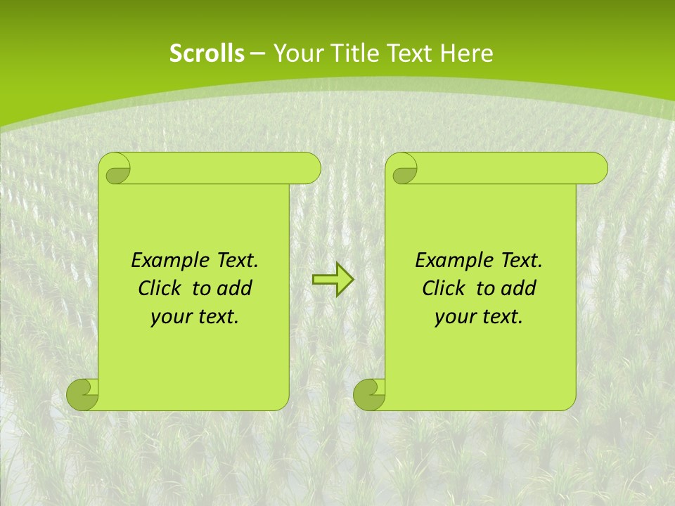 Rows Lush Earth PowerPoint Template