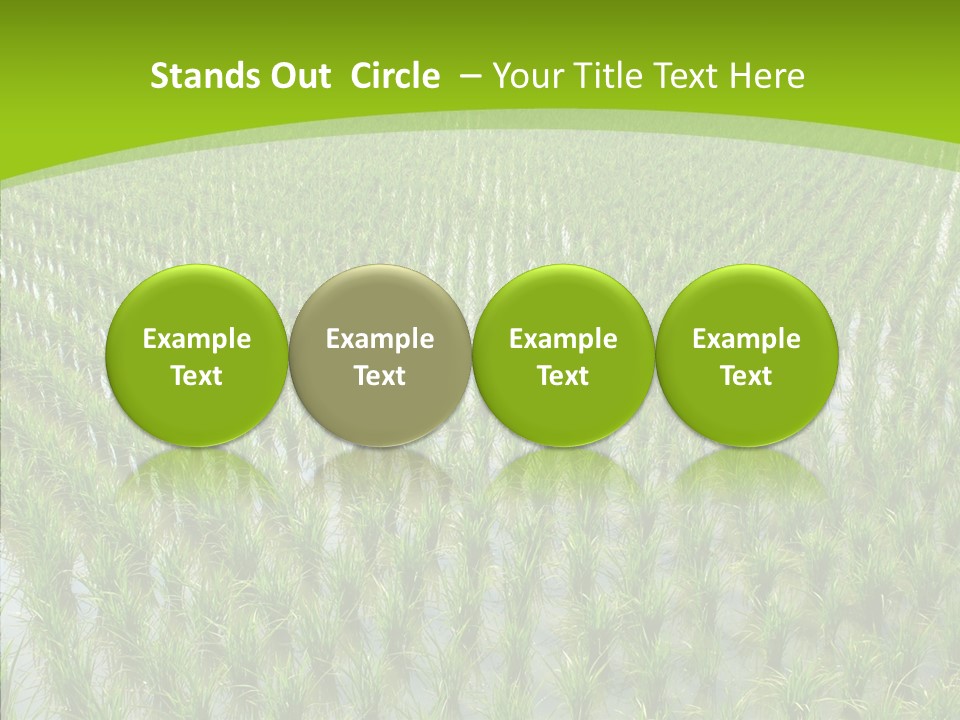 Rows Lush Earth PowerPoint Template