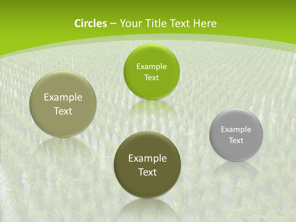 Rows Lush Earth PowerPoint Template