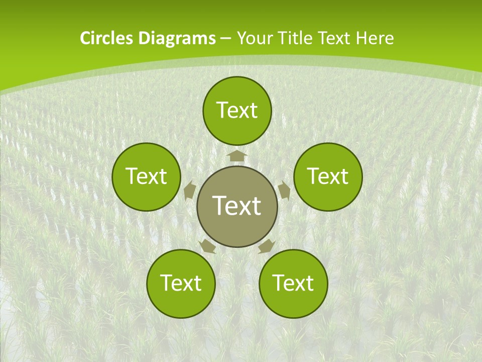 Rows Lush Earth PowerPoint Template