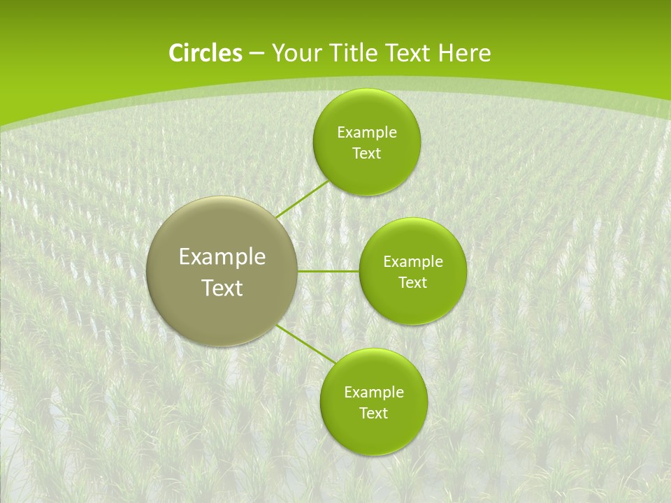 Rows Lush Earth PowerPoint Template