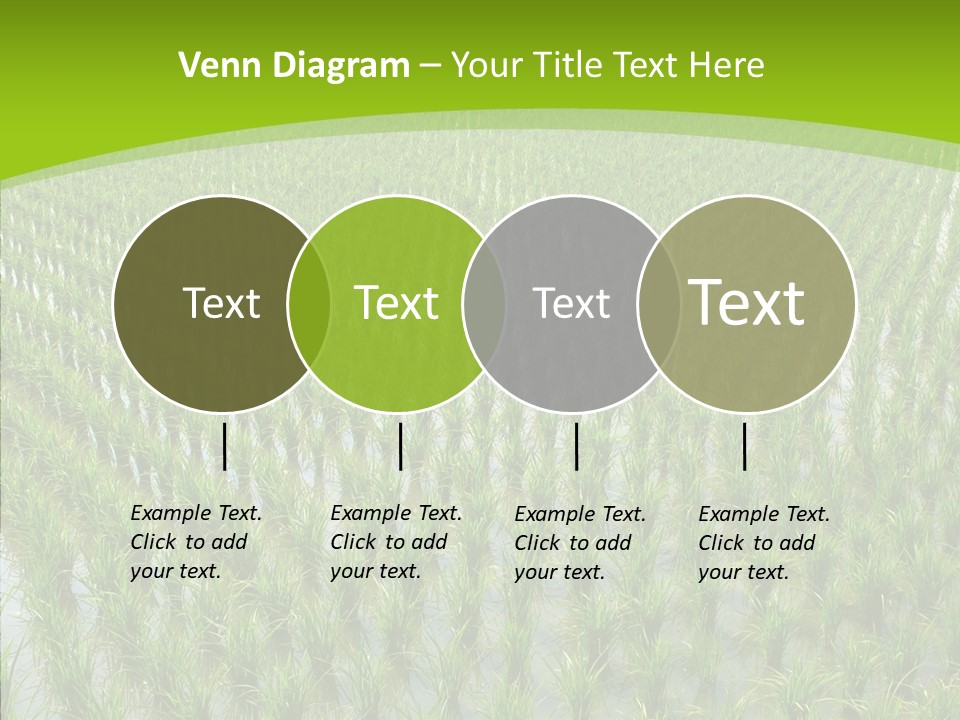Rows Lush Earth PowerPoint Template