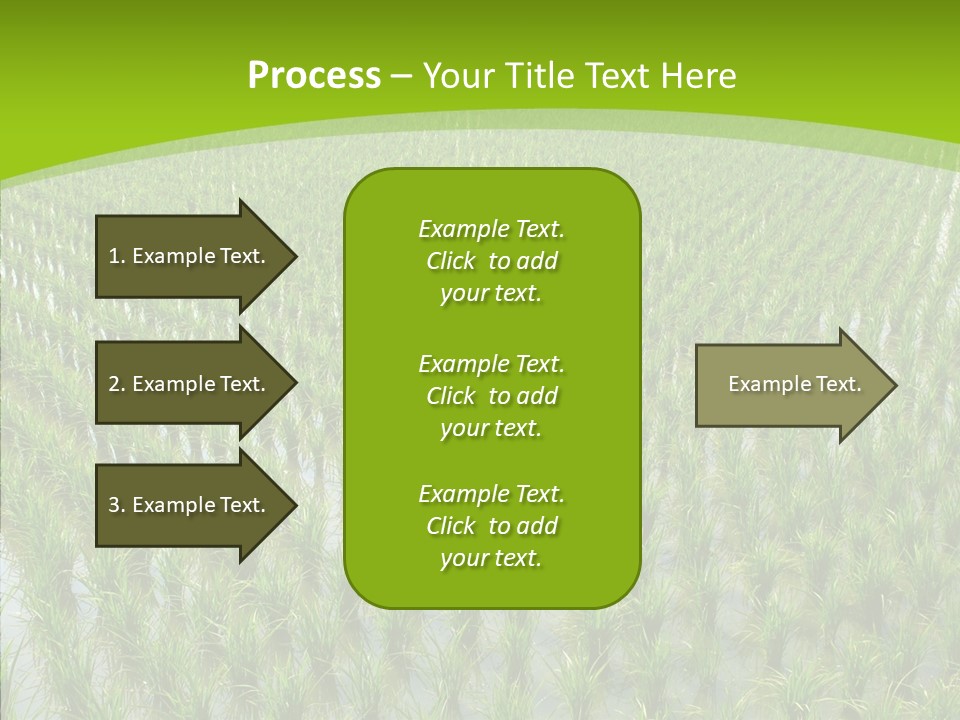 Rows Lush Earth PowerPoint Template