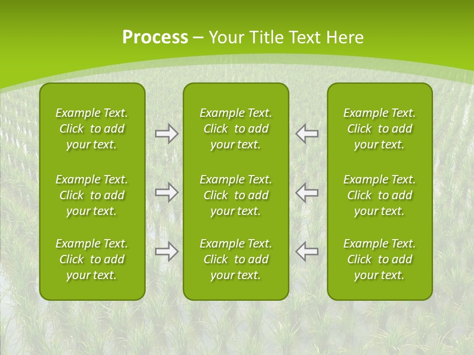 Rows Lush Earth PowerPoint Template