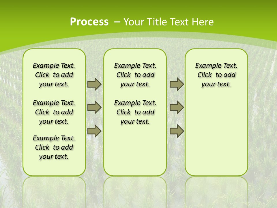 Rows Lush Earth PowerPoint Template