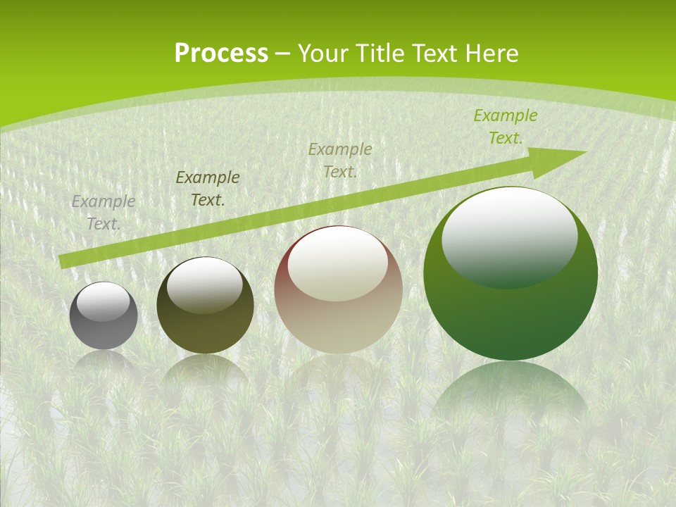 Rows Lush Earth PowerPoint Template