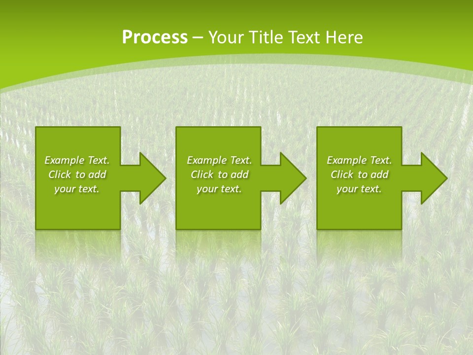 Rows Lush Earth PowerPoint Template