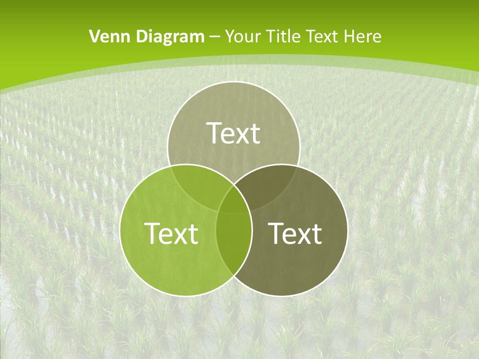 Rows Lush Earth PowerPoint Template