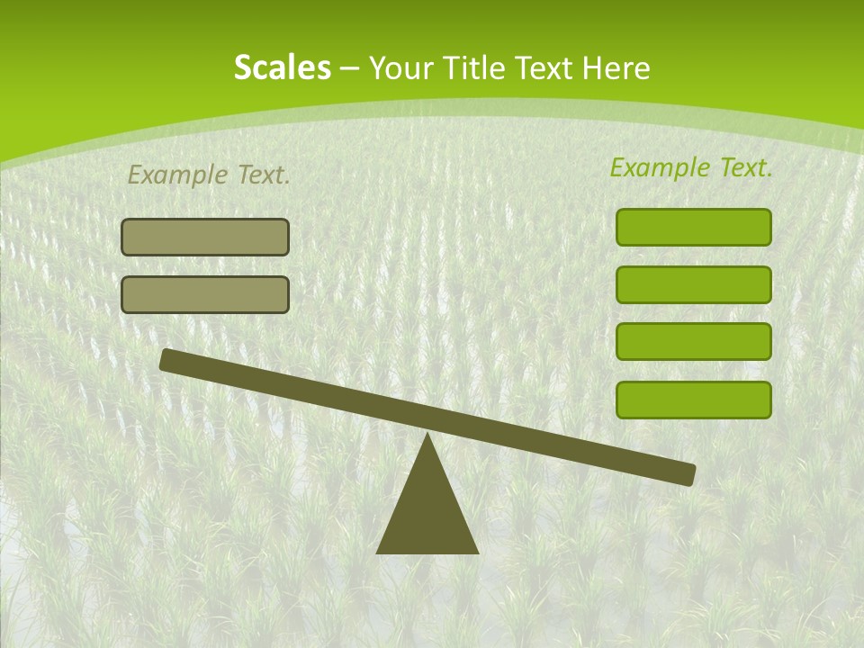 Rows Lush Earth PowerPoint Template