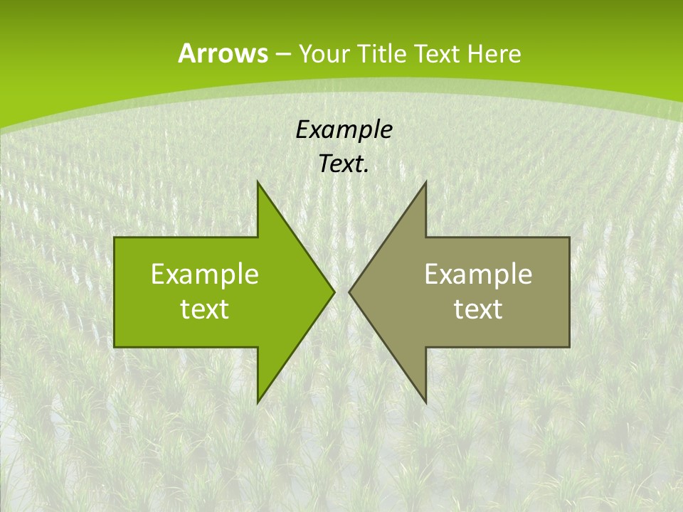 Rows Lush Earth PowerPoint Template