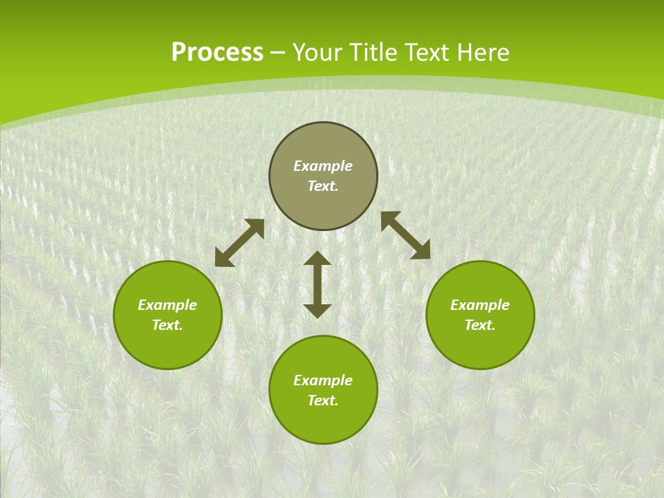 Rows Lush Earth PowerPoint Template