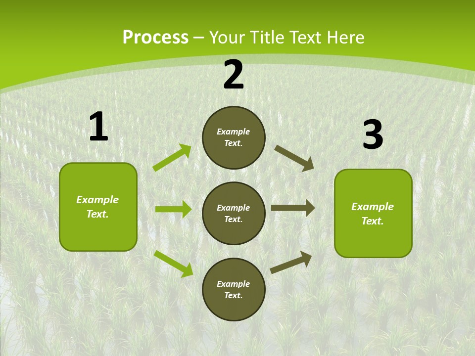 Rows Lush Earth PowerPoint Template