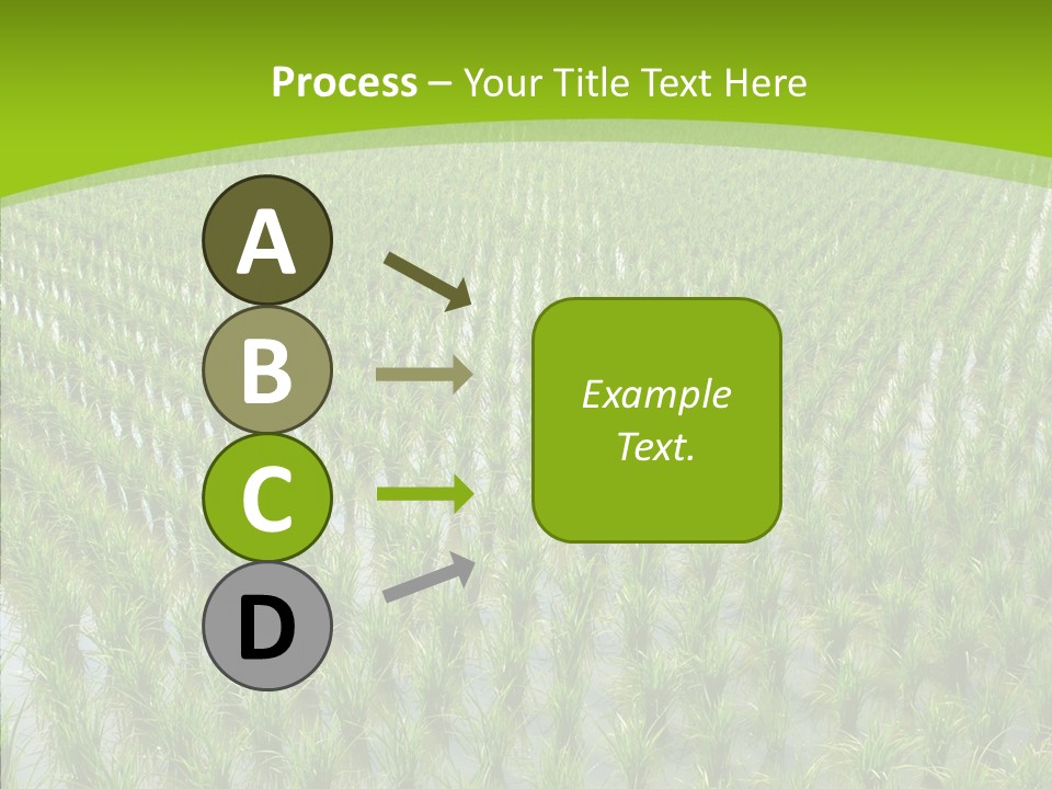 Rows Lush Earth PowerPoint Template