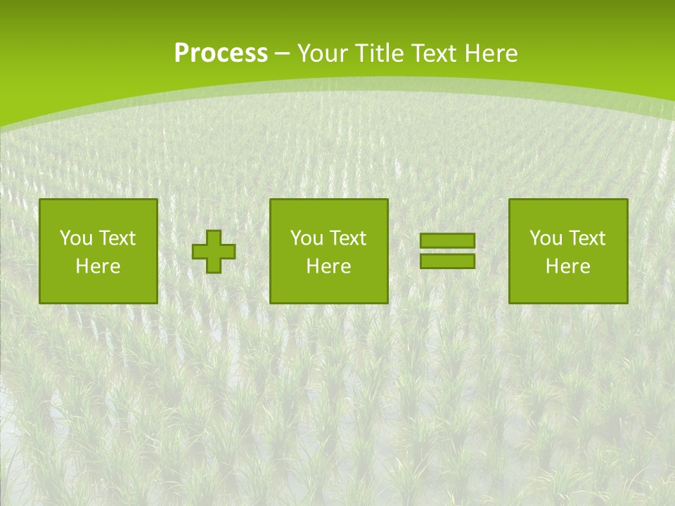 Rows Lush Earth PowerPoint Template