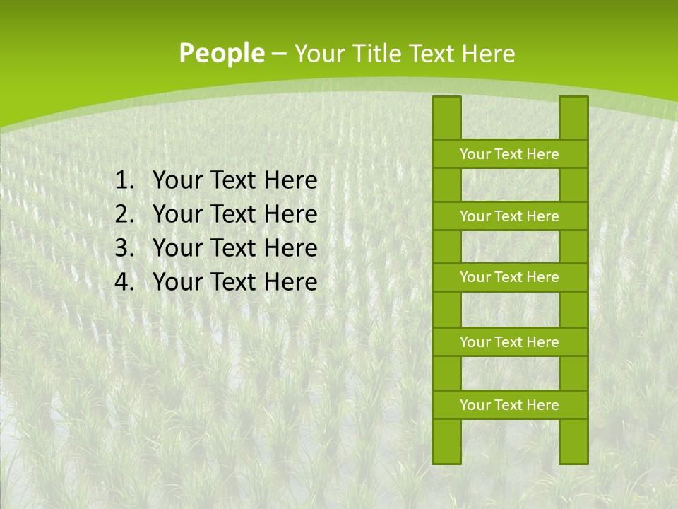 Rows Lush Earth PowerPoint Template