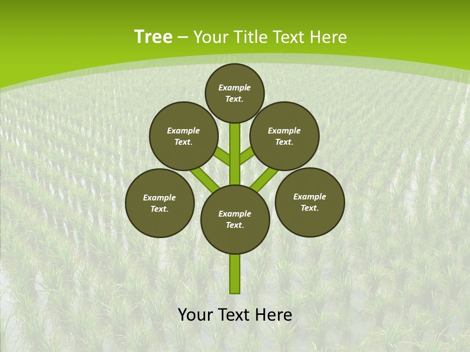 Rows Lush Earth PowerPoint Template