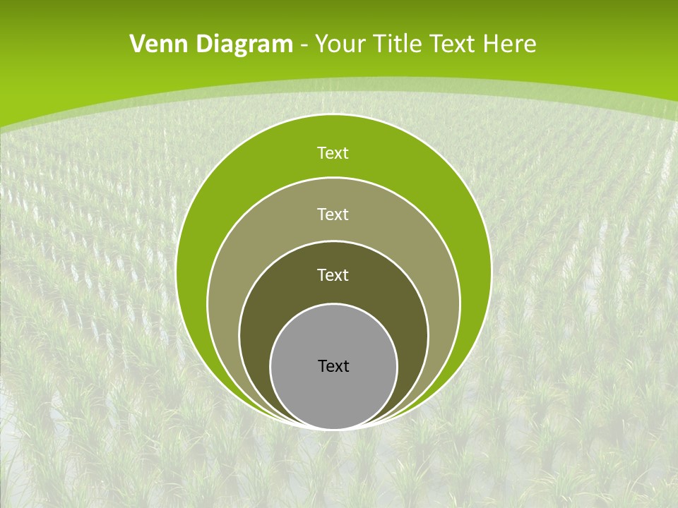 Rows Lush Earth PowerPoint Template