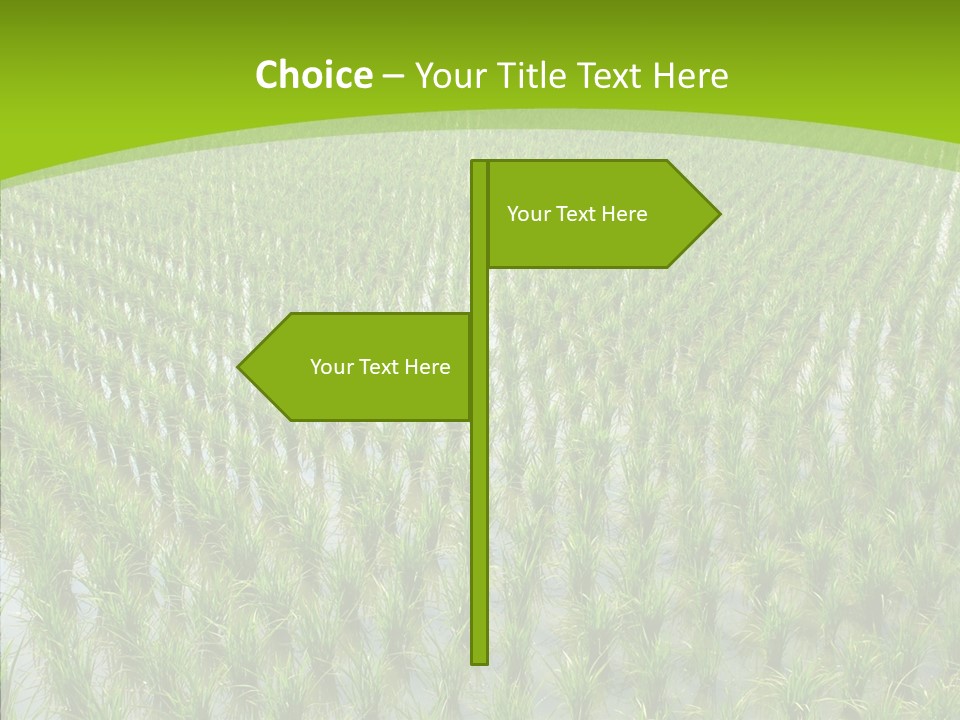 Rows Lush Earth PowerPoint Template