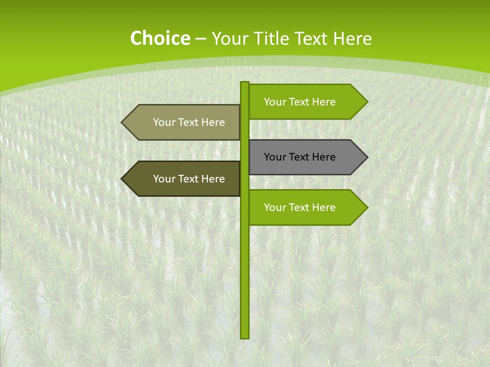 Rows Lush Earth PowerPoint Template