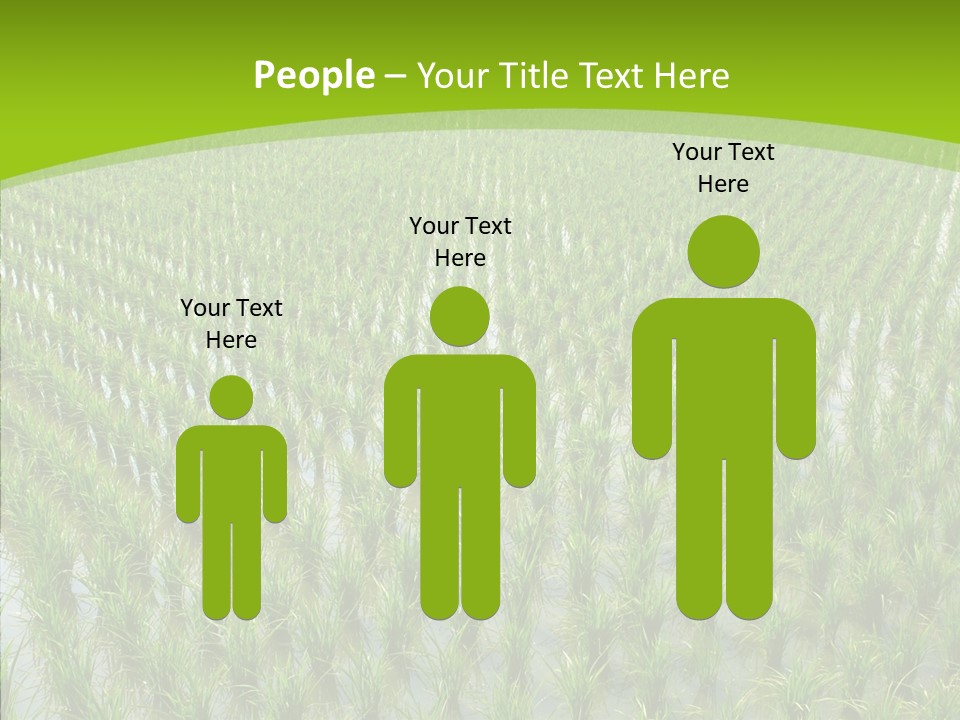 Rows Lush Earth PowerPoint Template