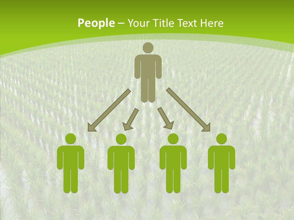 Rows Lush Earth PowerPoint Template