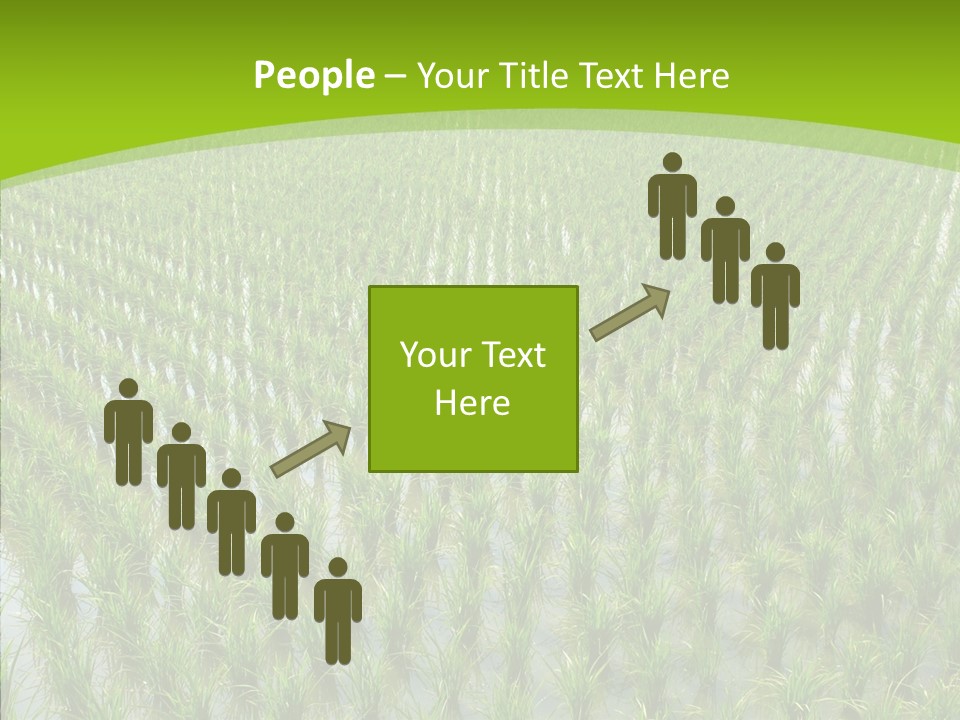 Rows Lush Earth PowerPoint Template