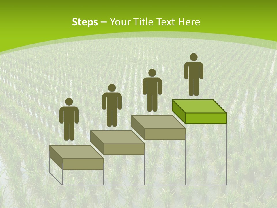 Rows Lush Earth PowerPoint Template